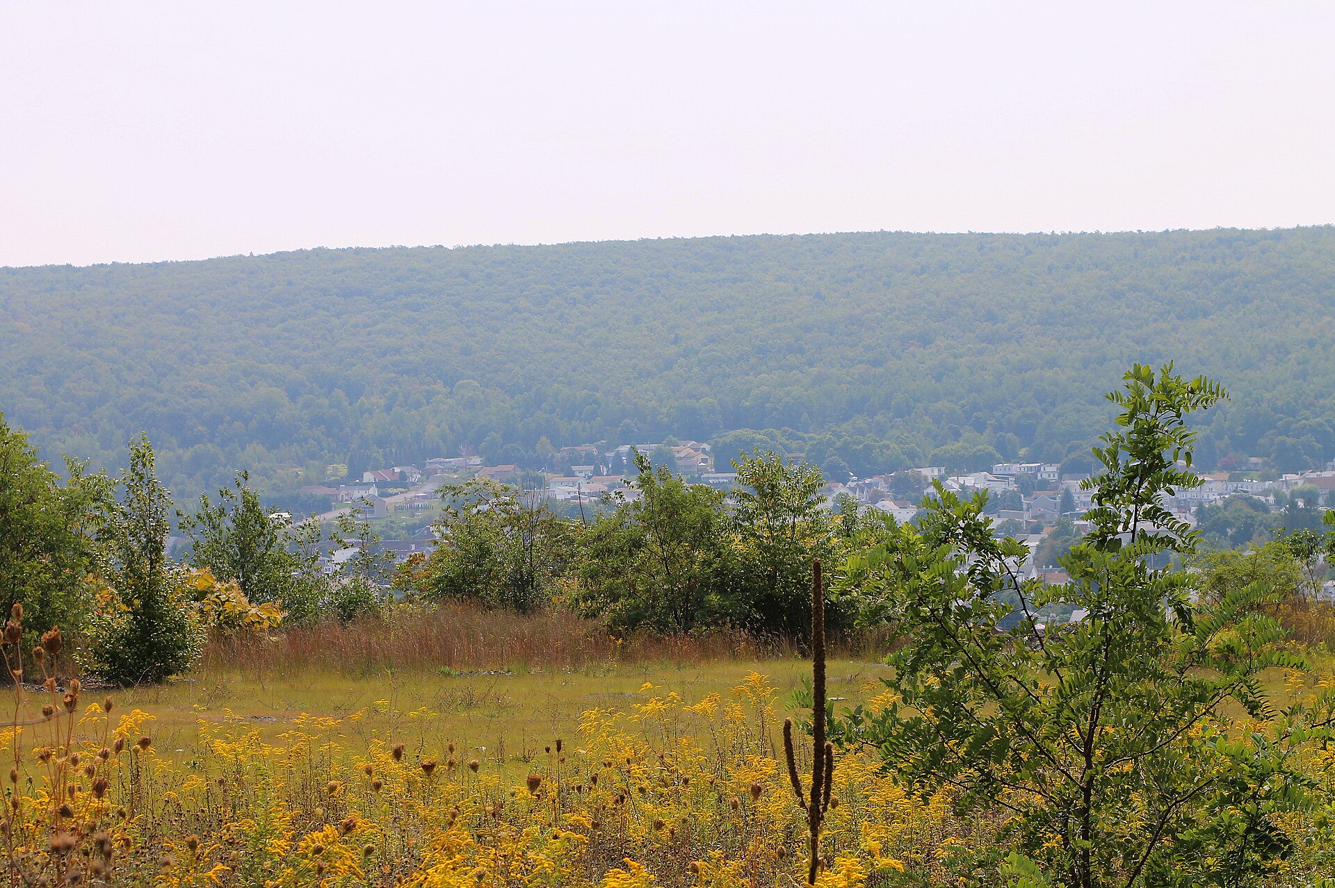 View of Mount Carmel — Pennsylvania