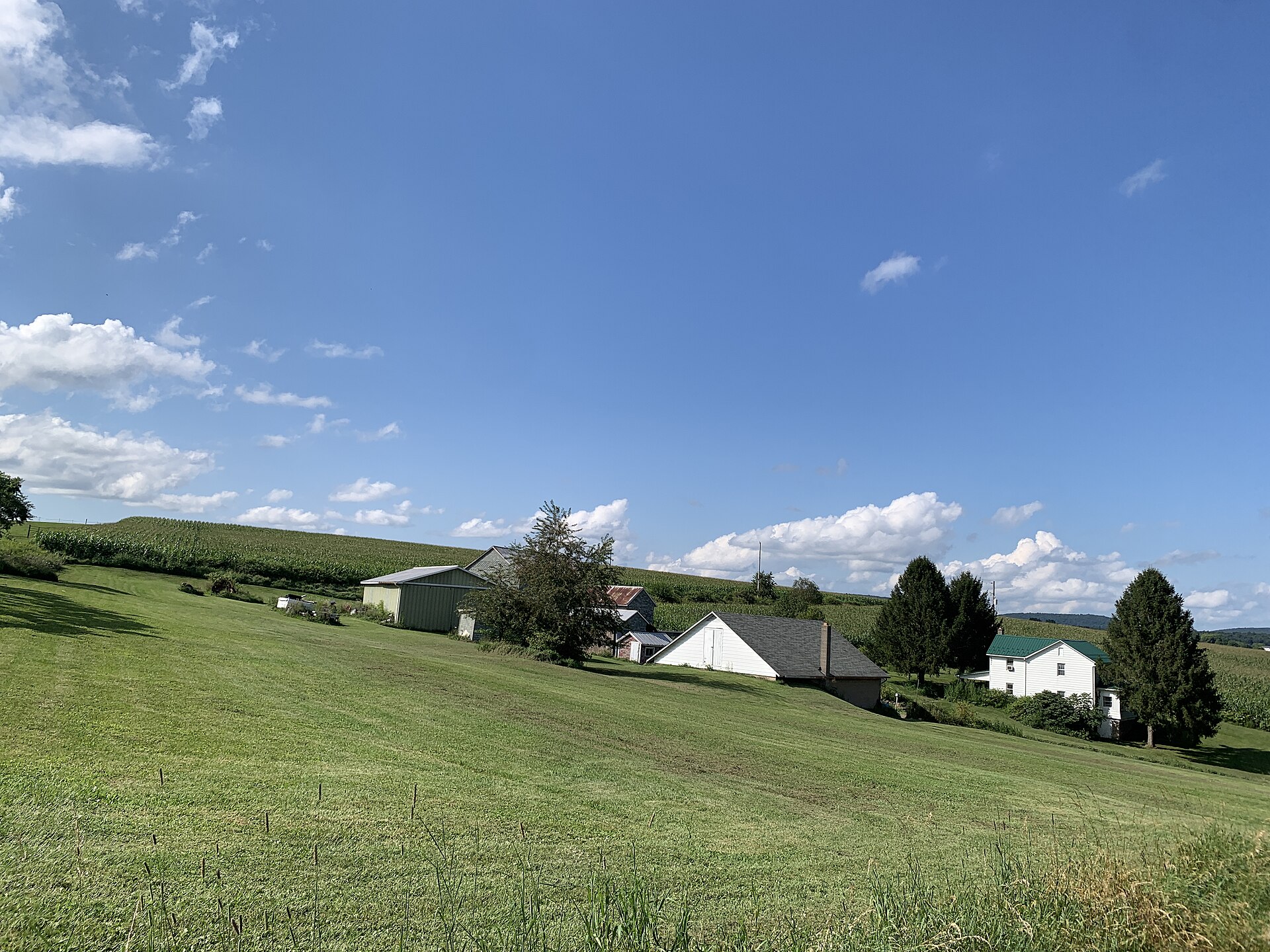 landscape view from Picnic Grove Road, Numidia, Catawissa, Columbia County, Pennsylvania 03
