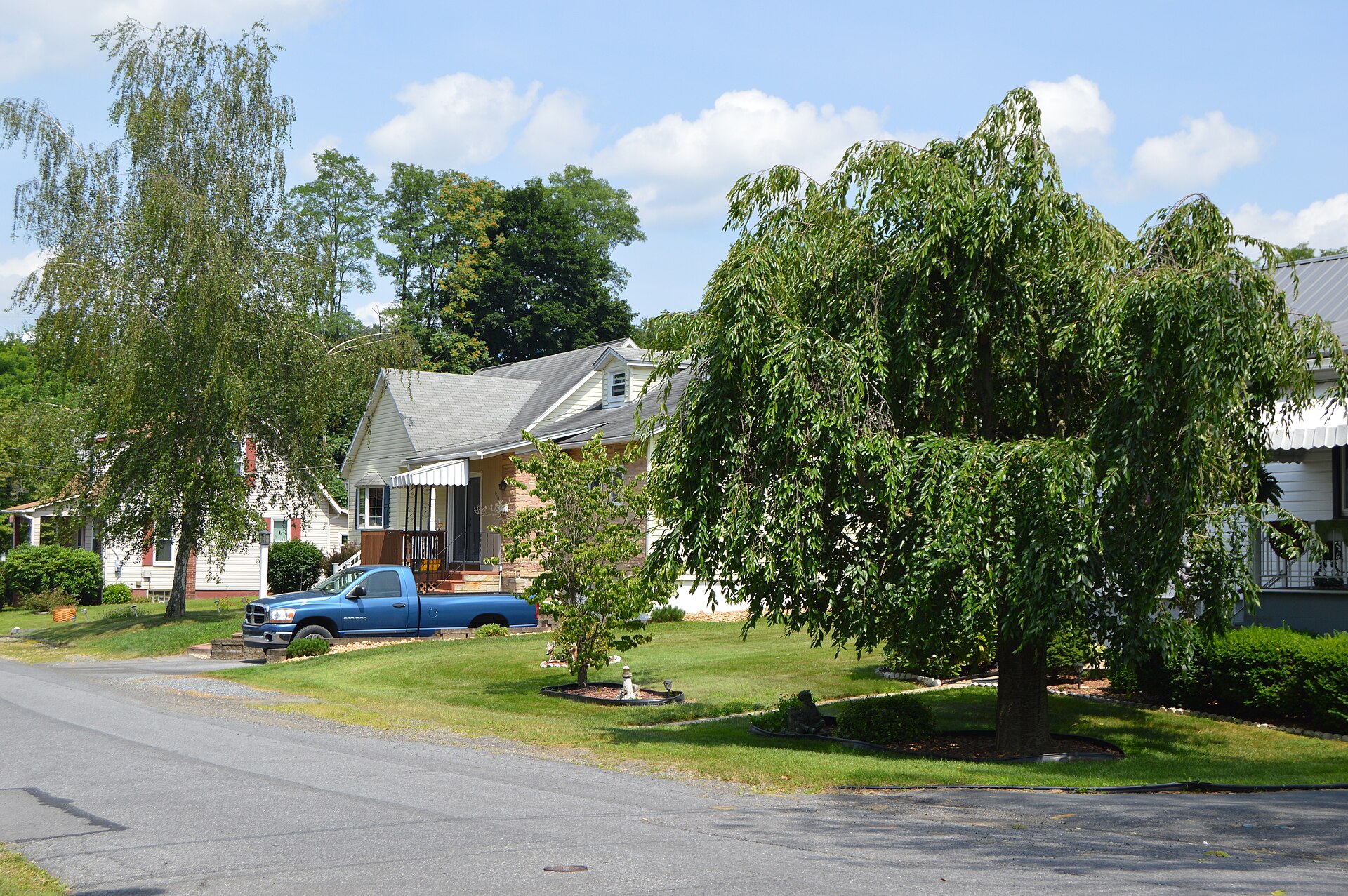Houses on Riffith [sic] Street northeast of Price Street in Oakland, Pennsylvania, United States.