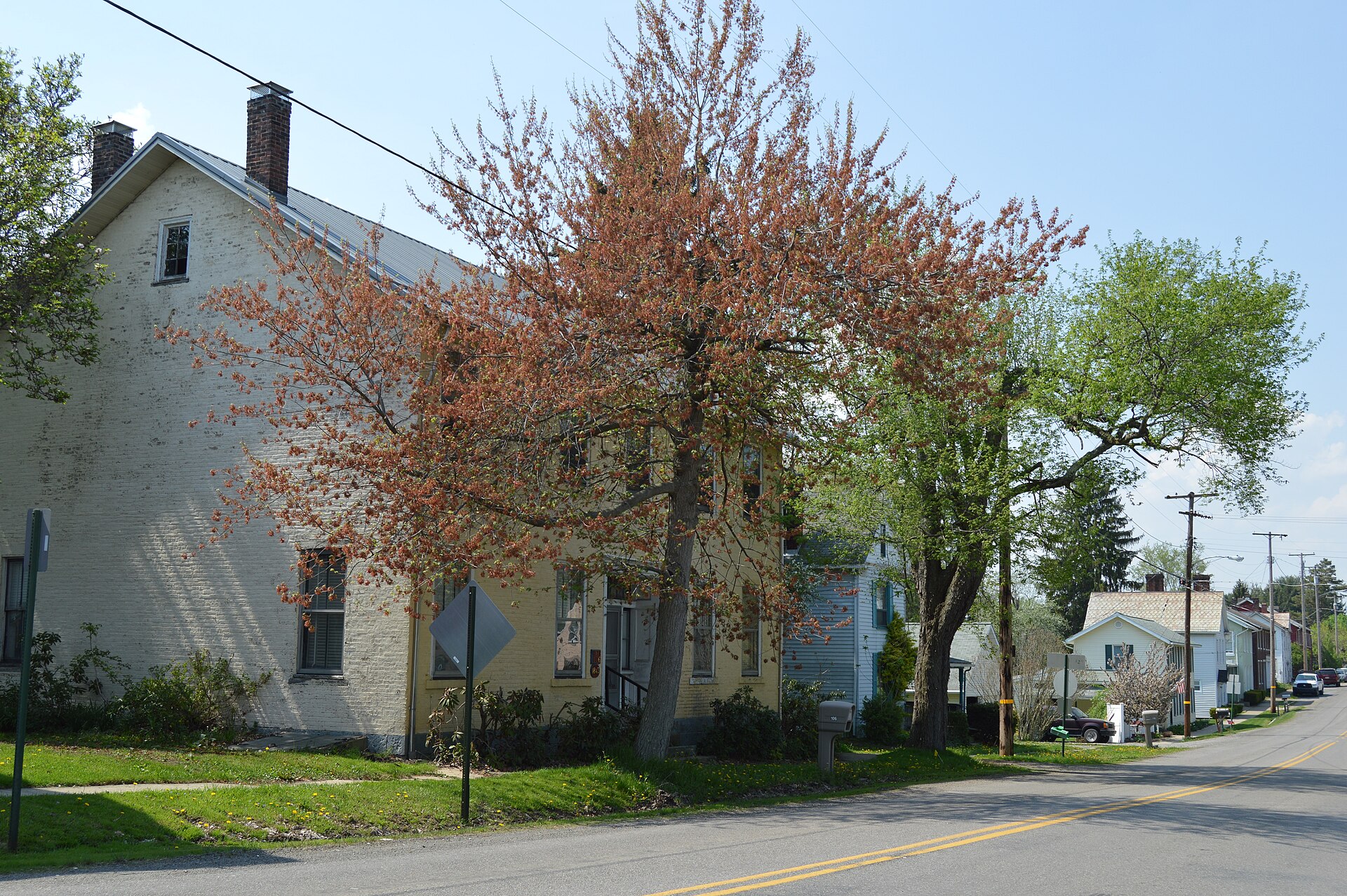 Houses on the western side of Franklin Street (Pennsylvania Route 528) just north of Main Street in Prospect, Pennsylvania, United States.