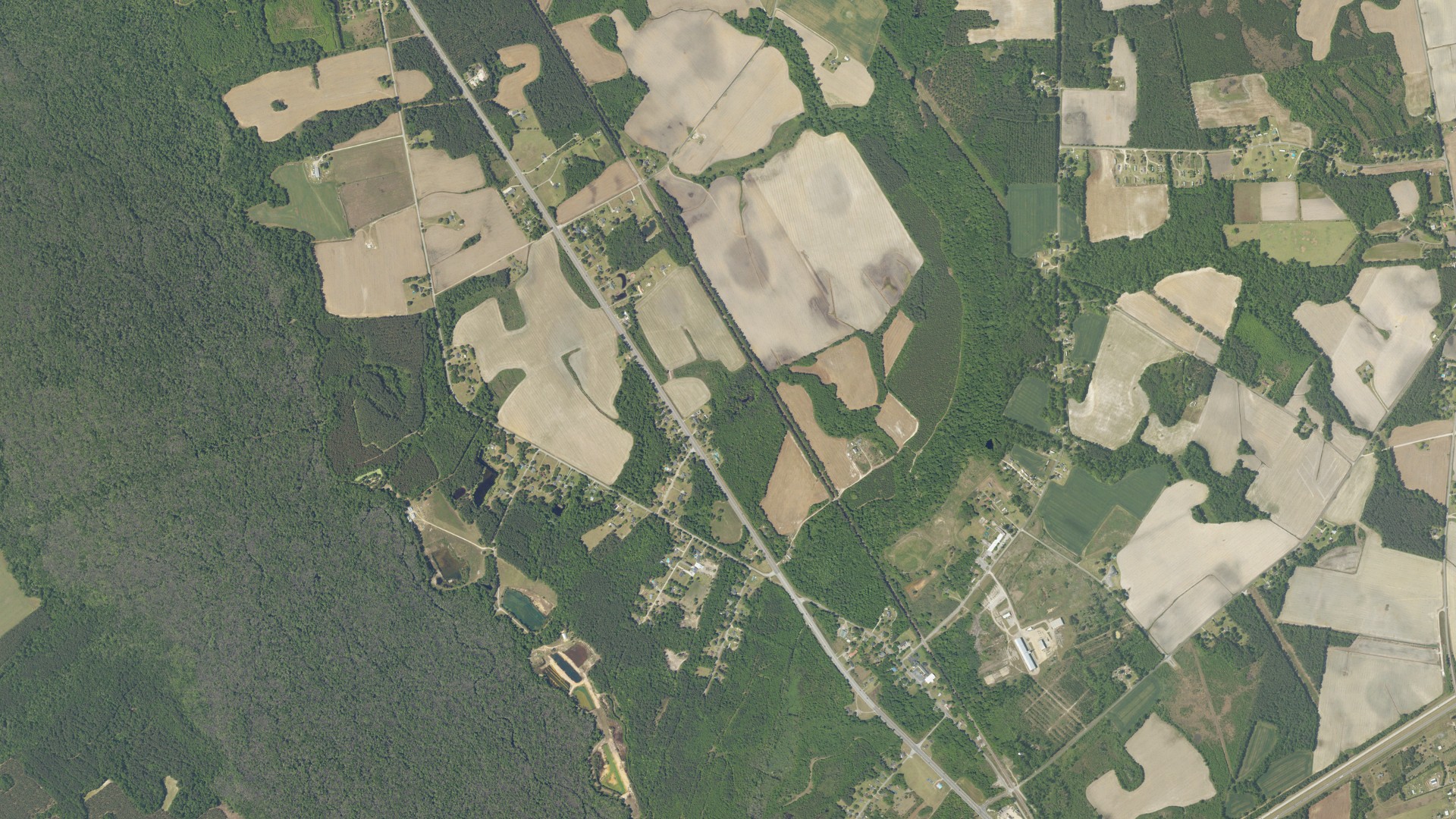 Natural-color aerial photograph of land around Alcolu, South Carolina