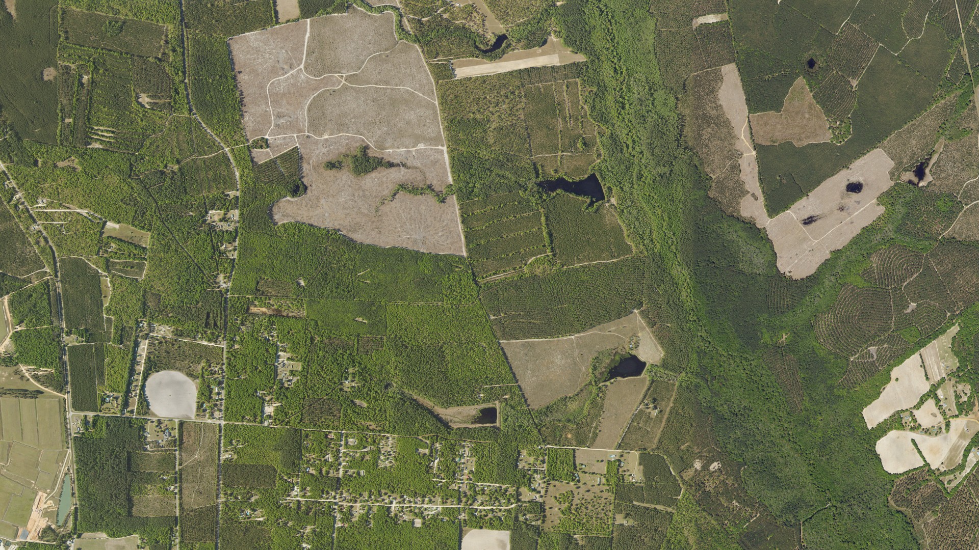 Natural-color aerial photograph of land around Barnwell County, South Carolina