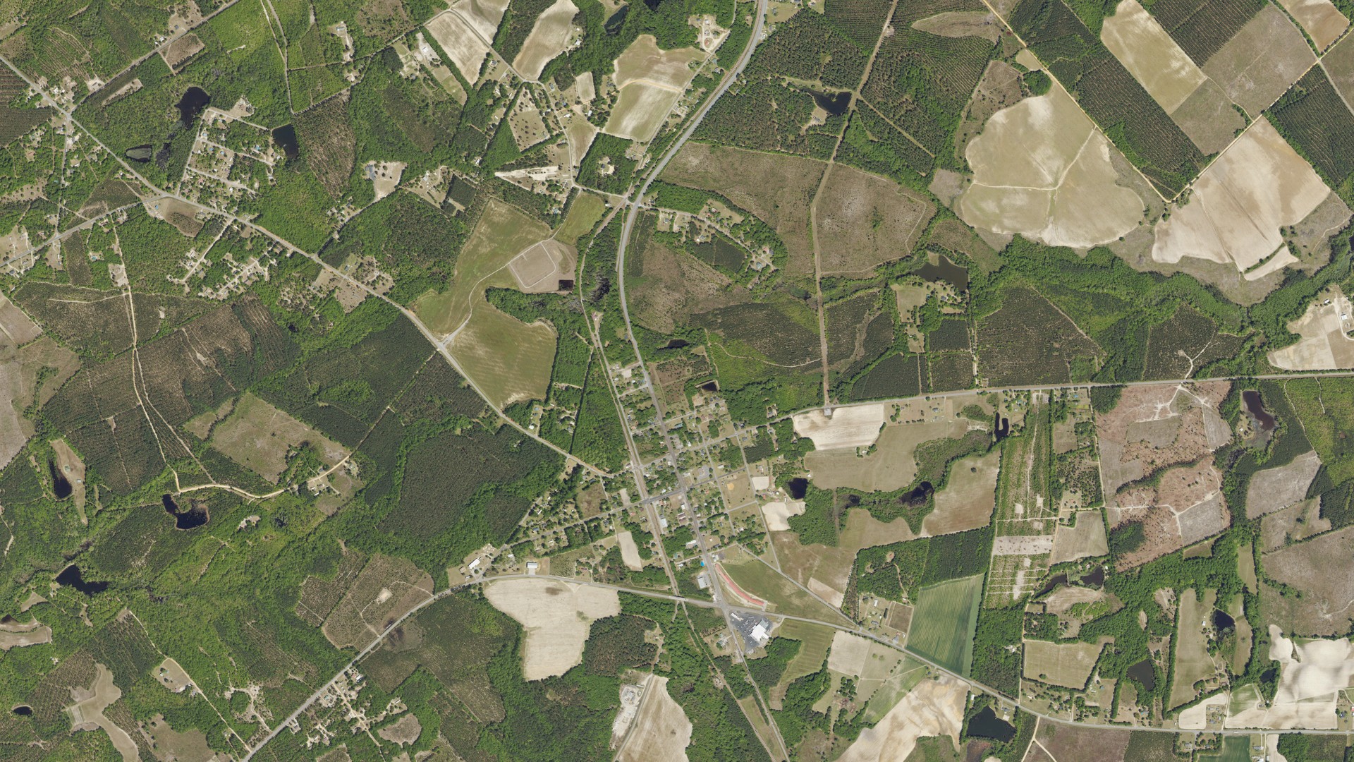 Natural-color aerial photograph of land around Neeses, South Carolina