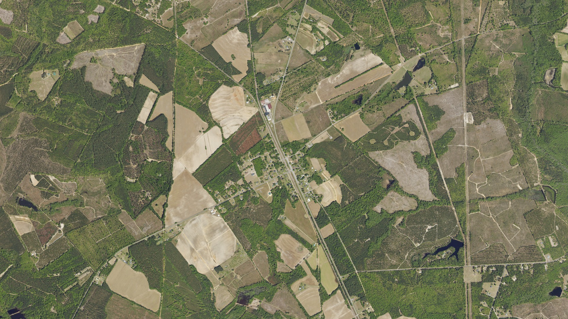 Natural-color aerial photograph of land around Woodford, South Carolina