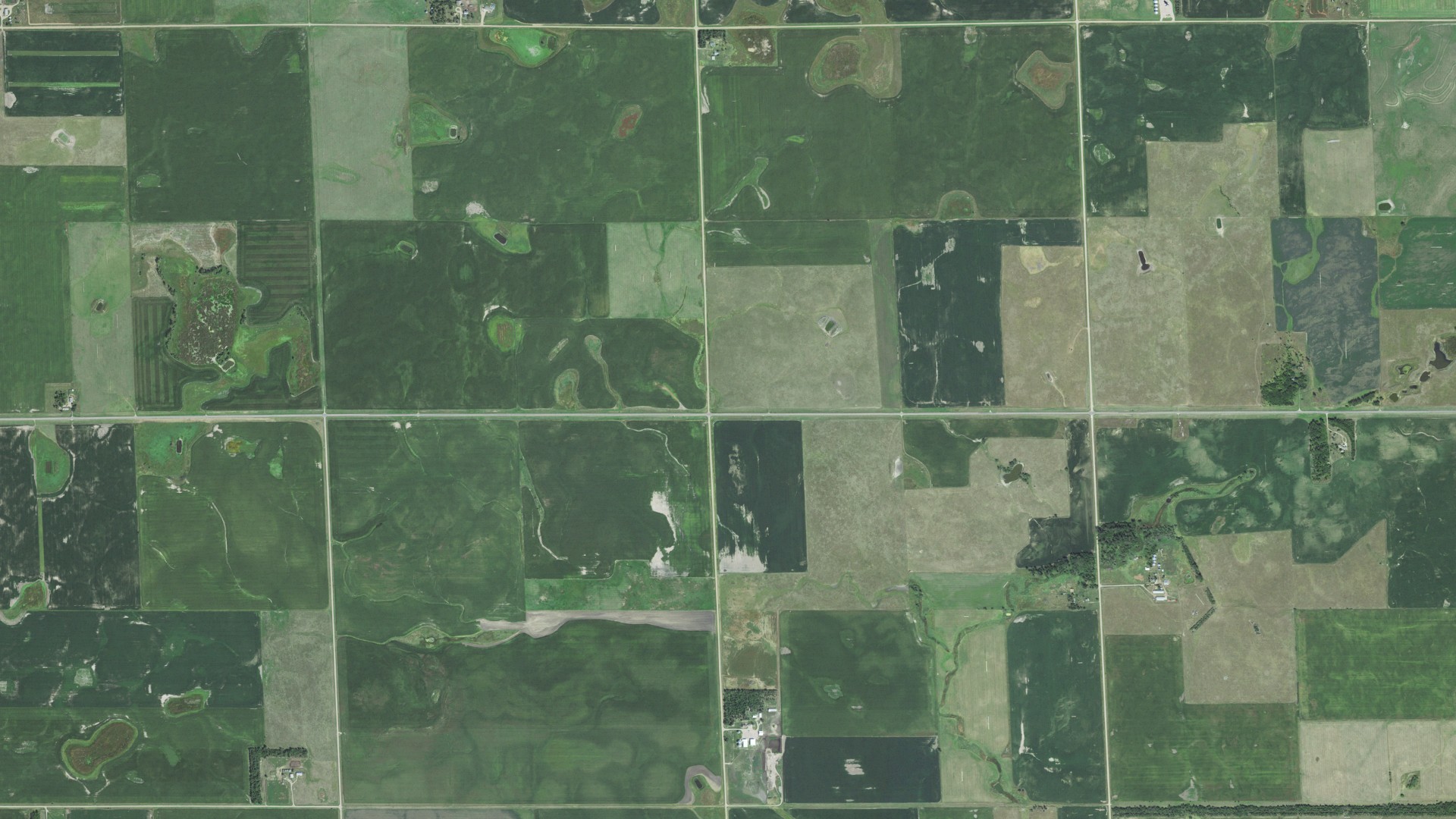 Aerial view of land around Aurora, South Dakota