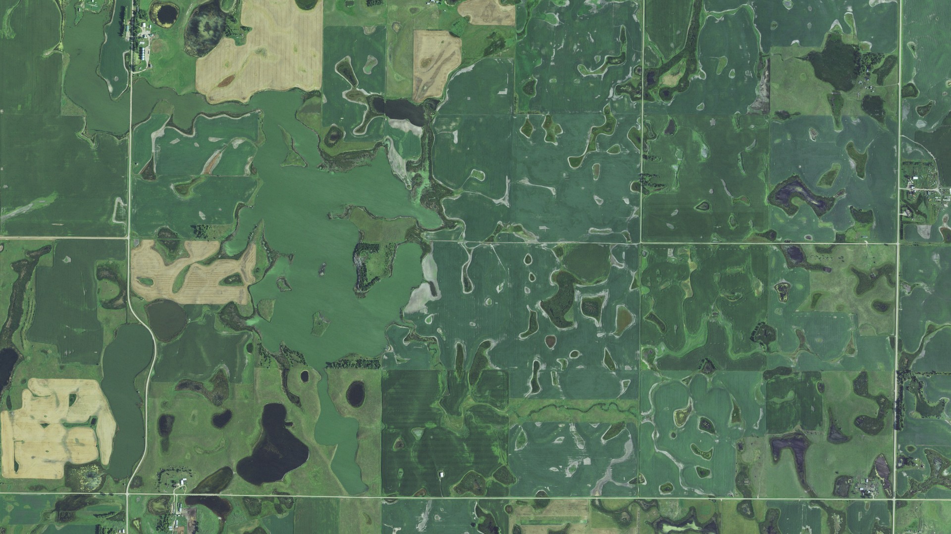 Natural-color aerial photograph of land around Egeland, South Dakota