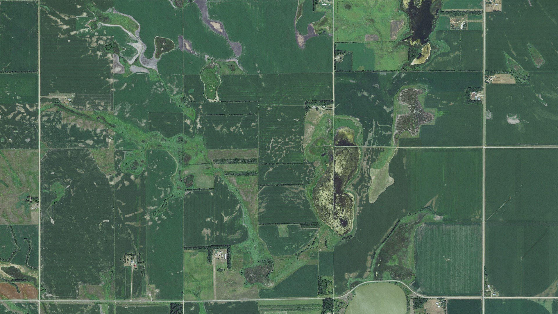 Aerial view of land around Florence, South Dakota