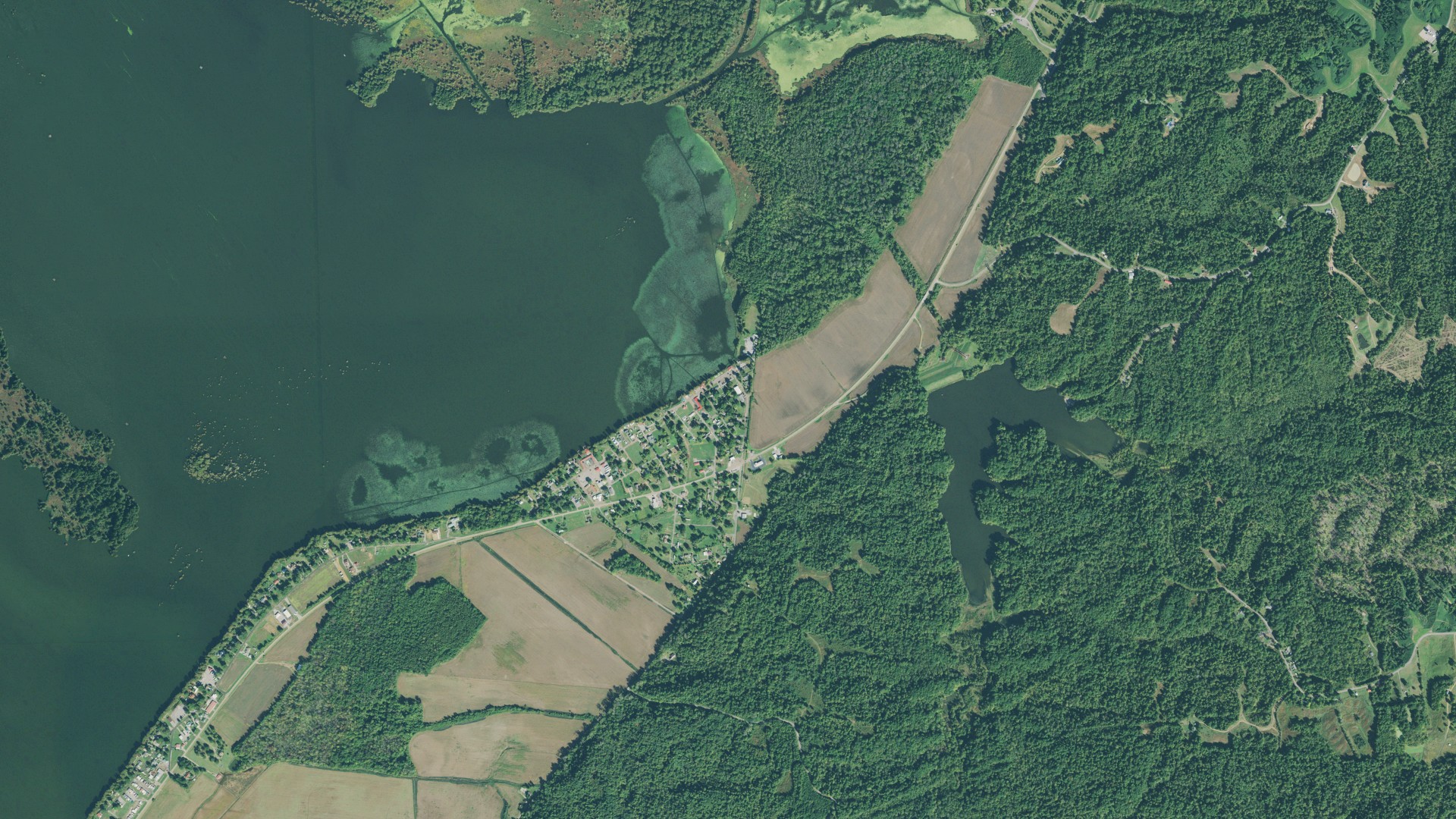 Natural-color aerial photograph of land around Samburg, Tennessee