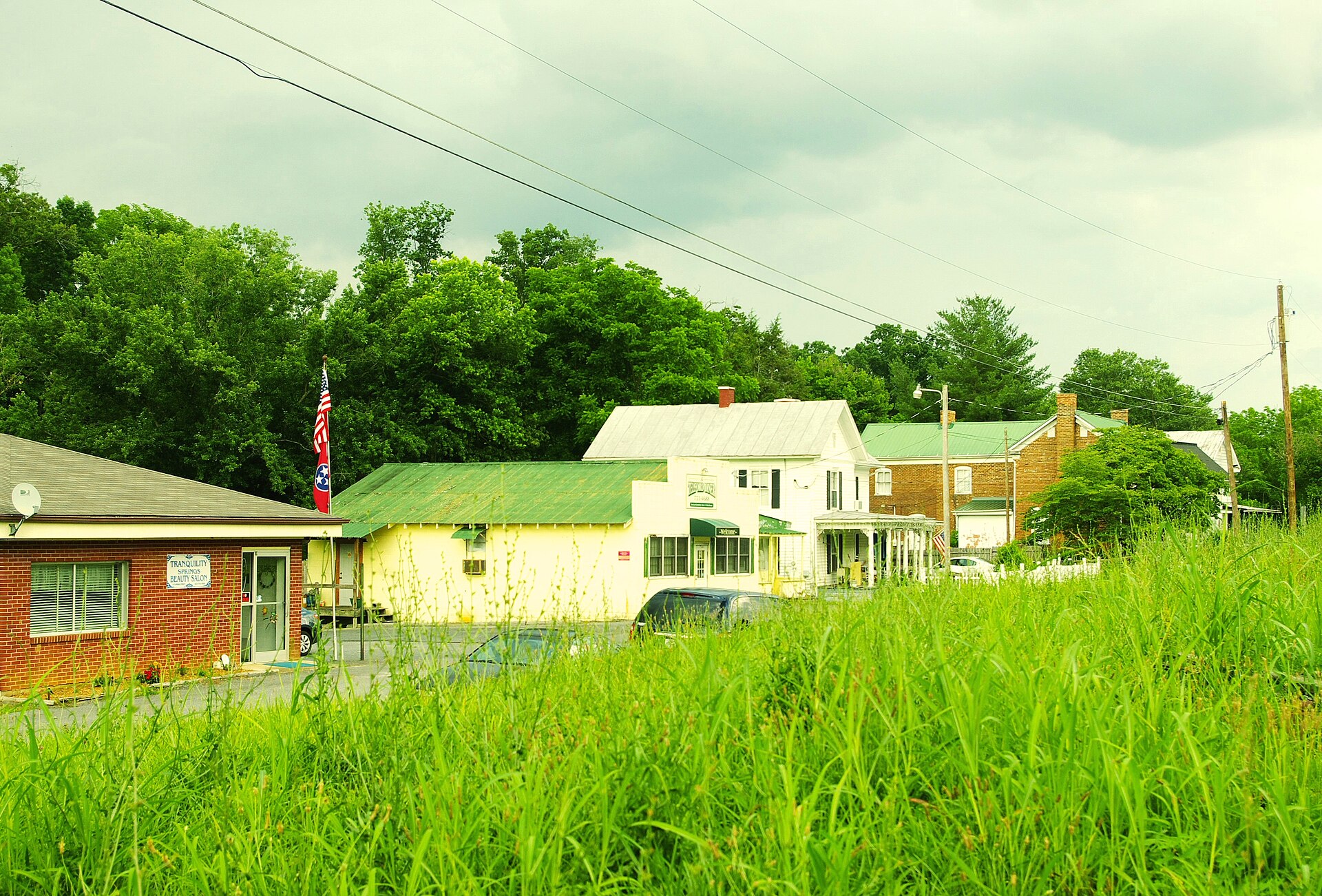 Storefronts along Mill Street in the Telford community of Washington County, Tennessee, United States.