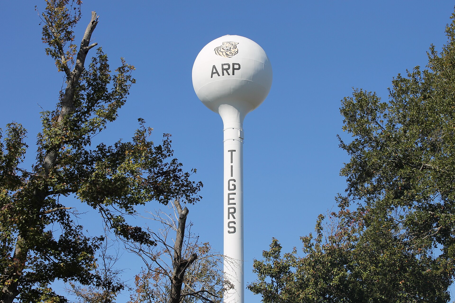 Water tower in Arp, TX — Texas