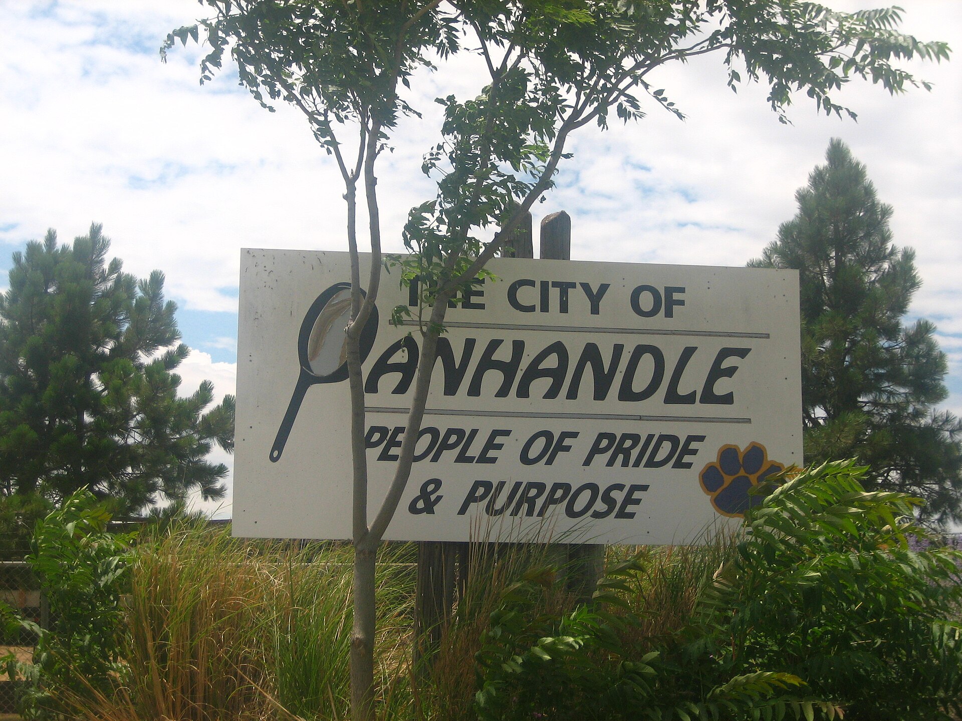 I took photo on July 15, 2008. Billy Hathorn (talk) 21:28, 22 July 2008 (UTC) — Panhandle, Texas