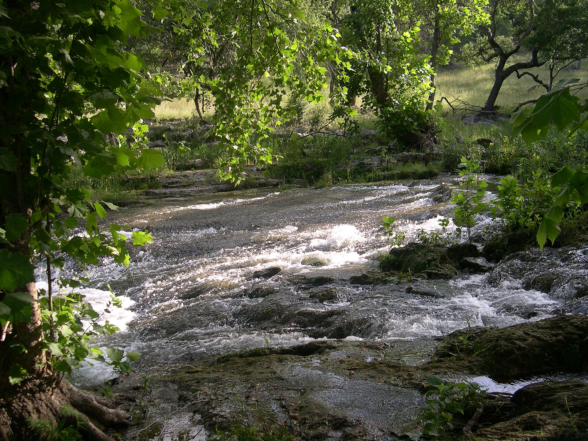 Photo of Spring Branch west of Rittiman Road in Spring Branch, Texas, taken in June 2007.