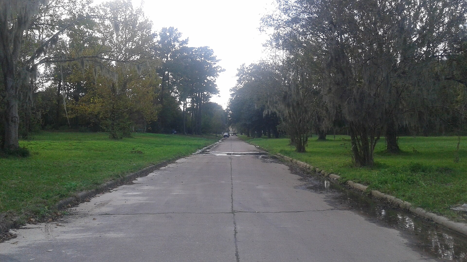 North Woodloch Street, facing west, in Woodloch, Texas.