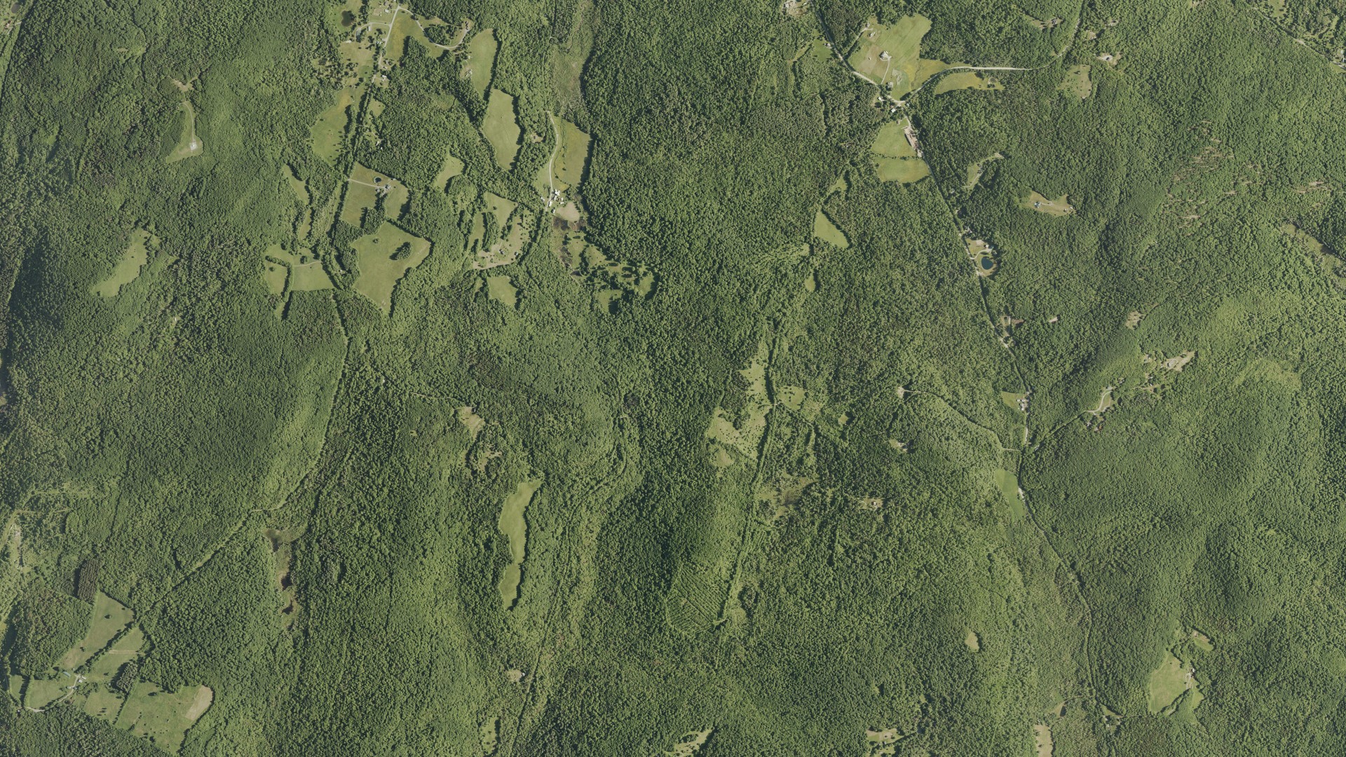 Natural-color aerial photograph of land around Washington, Vermont