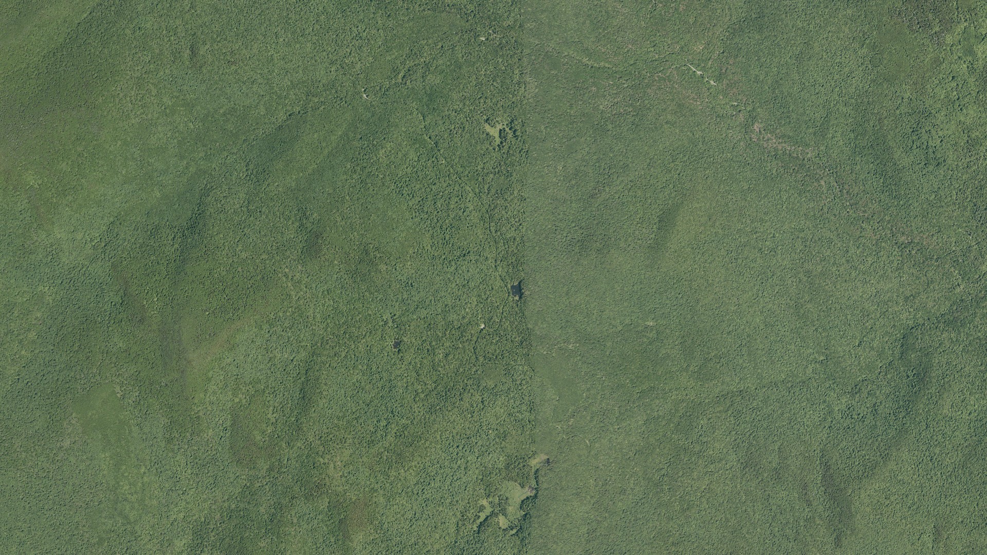 Natural-color aerial photograph of land around Chittenden, Vermont