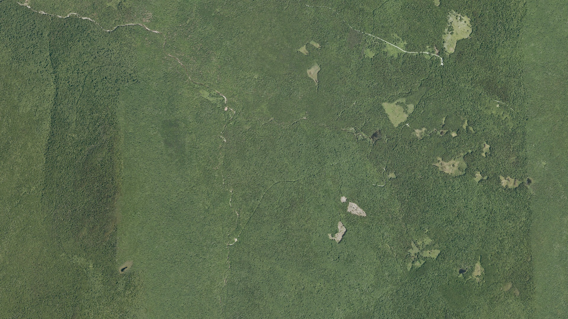 Natural-color aerial photograph of land around Mount Tabor, Vermont