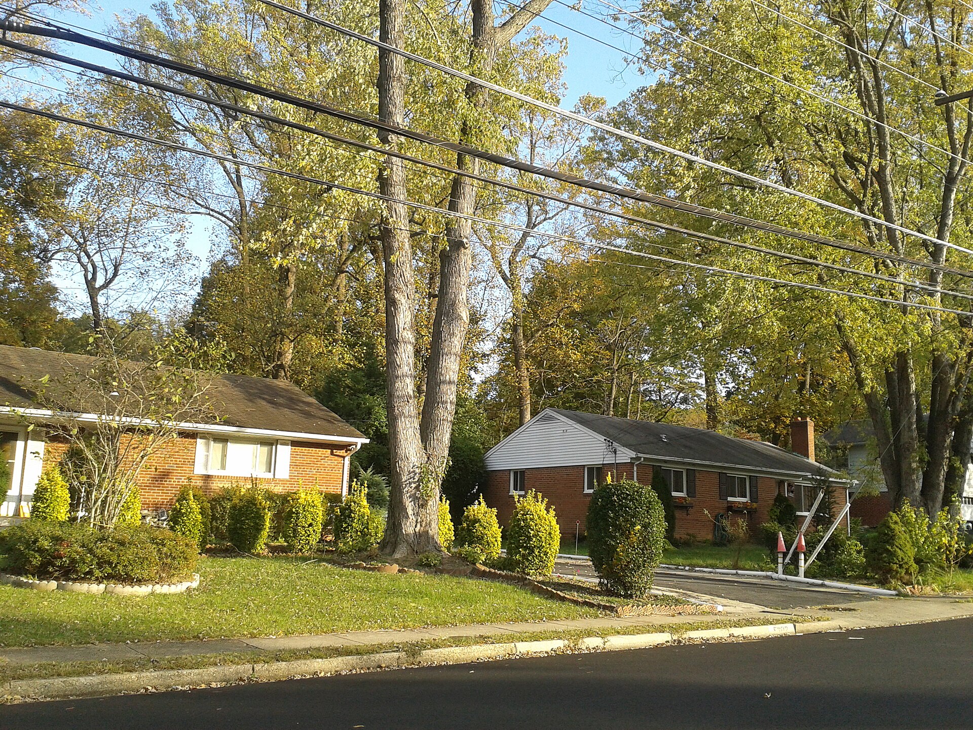 North Springfield, Fairfax County, Virginia Taken by me in October, 2016