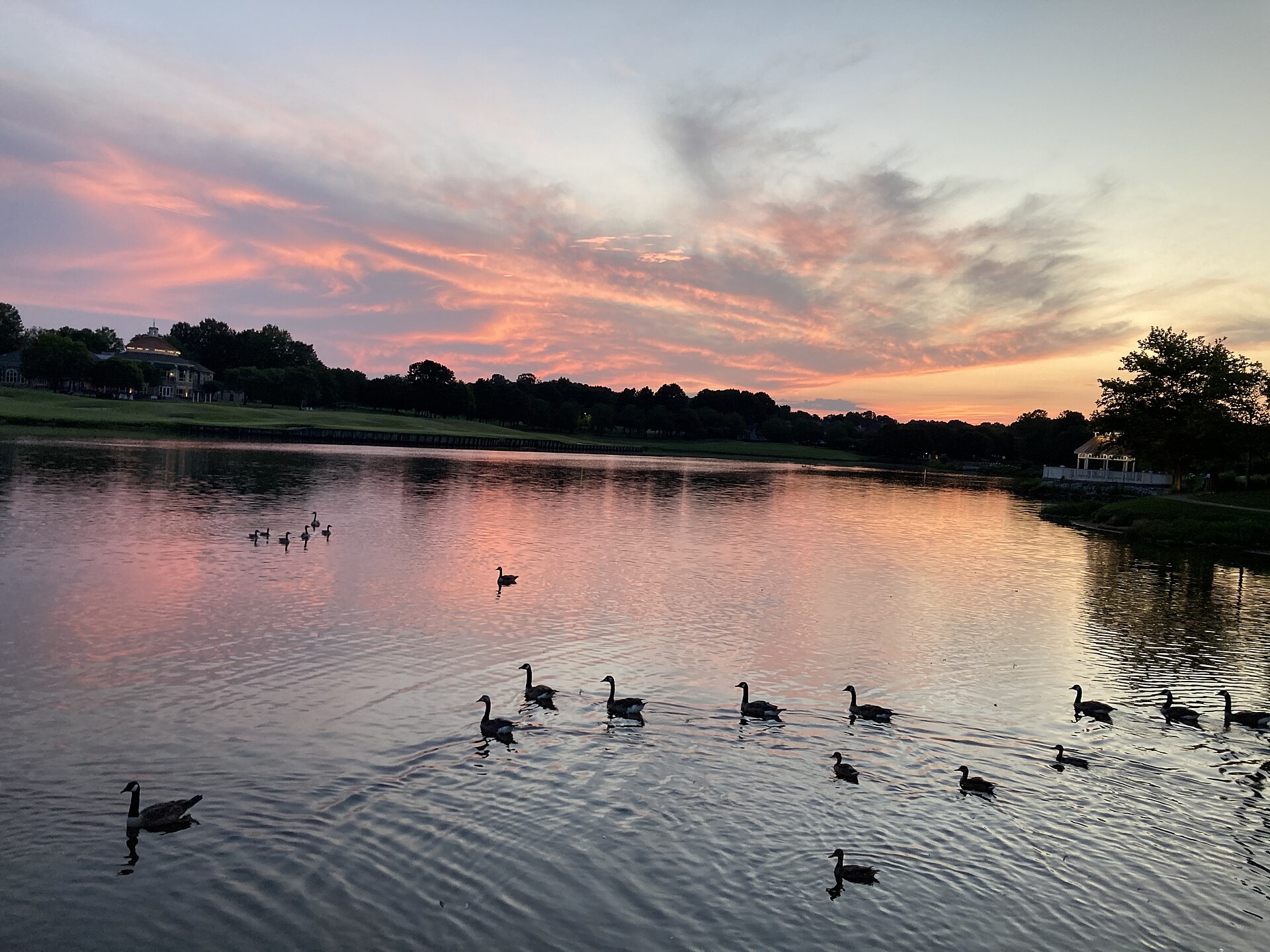 Pond in Wyndham, Virginia.