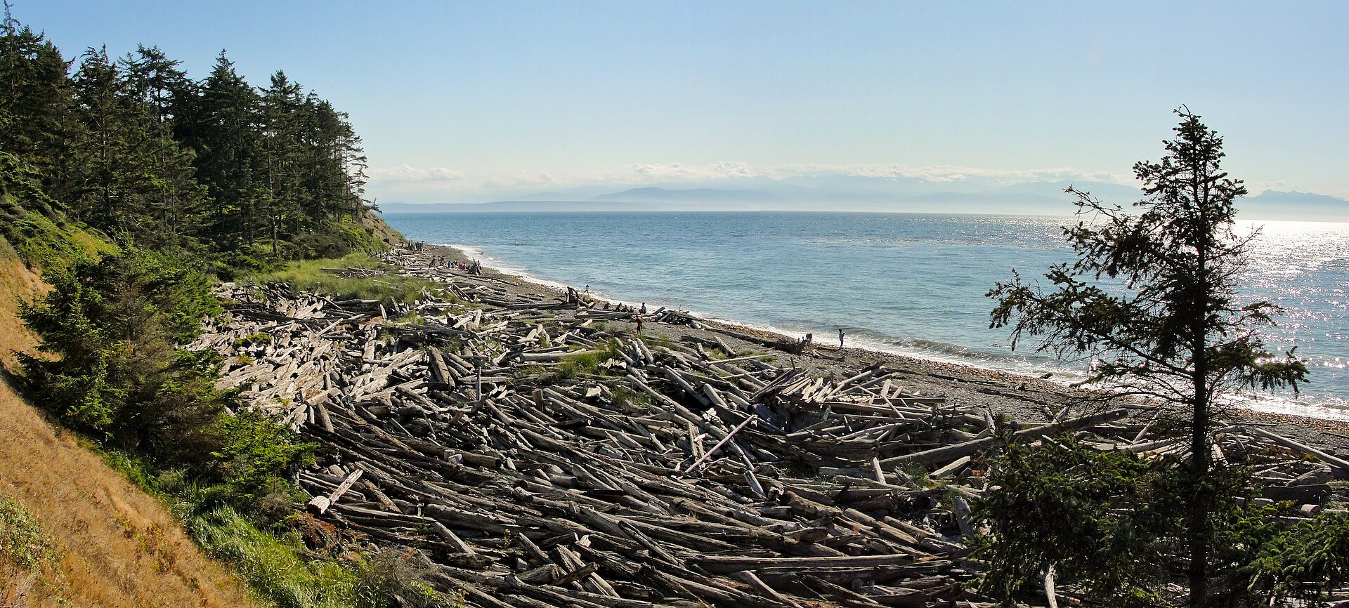 Shoreline at Fort Ebey State Park, Whidbey Island, WA — Island County, Washington