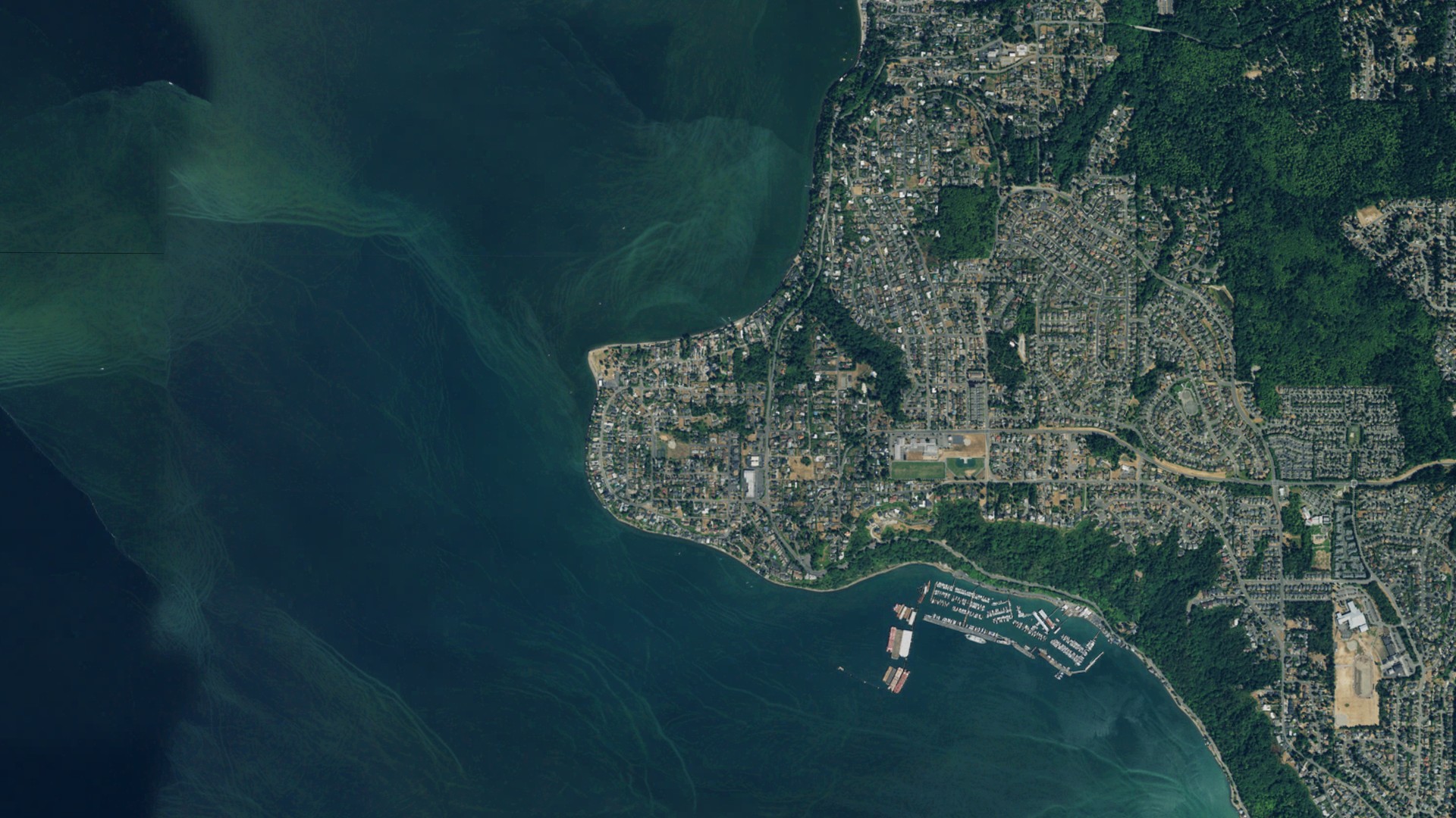 Natural-color aerial photograph of land around Browns Point, Washington