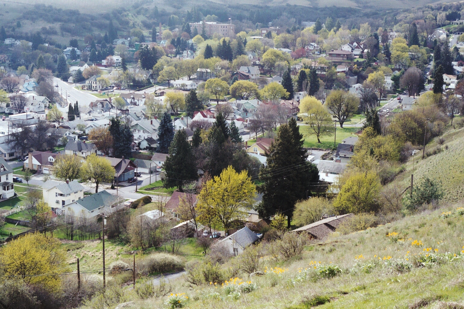 Southeast view of Colfax Washington