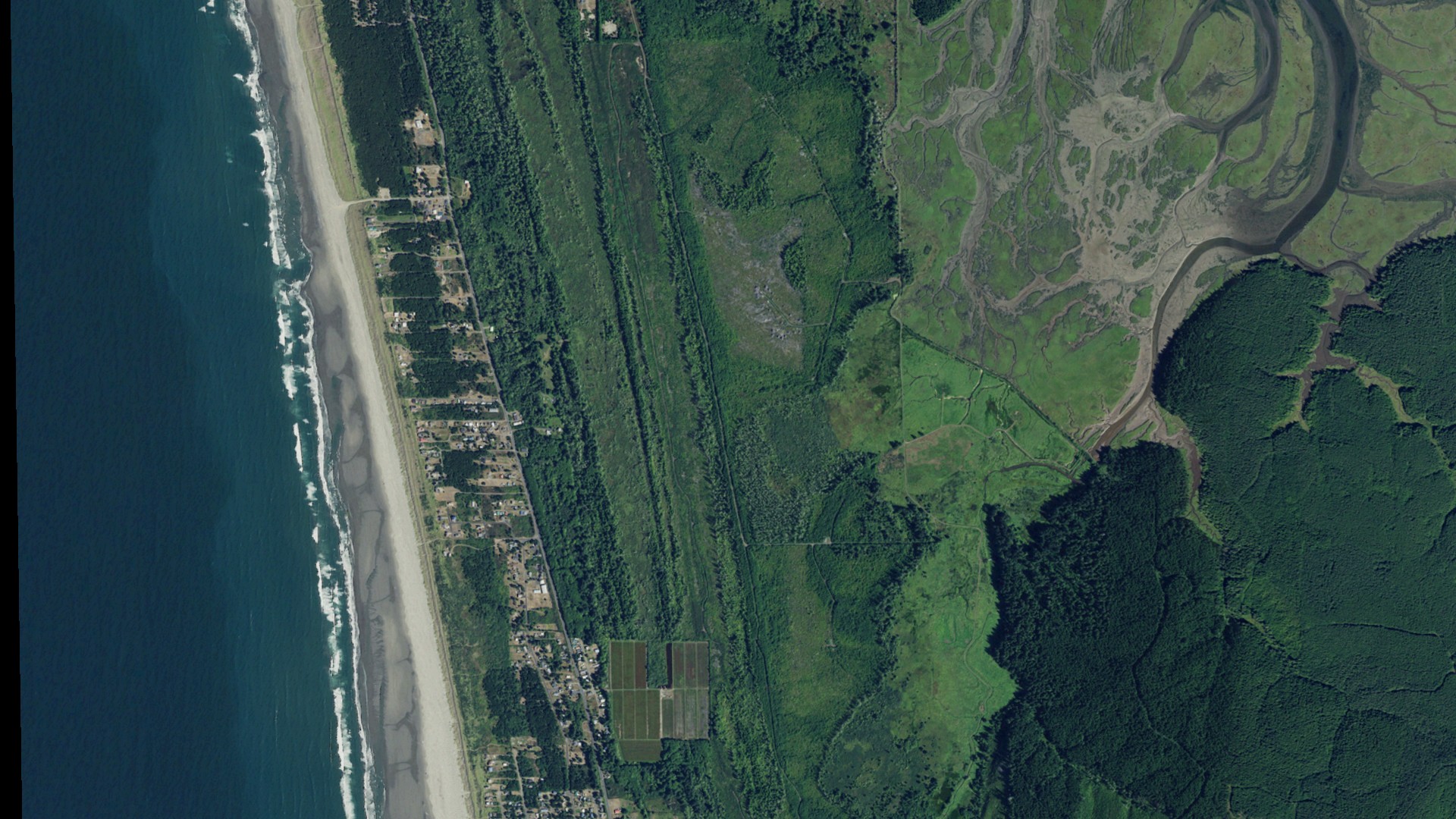 Natural-color aerial photograph of land around Grayland, Washington