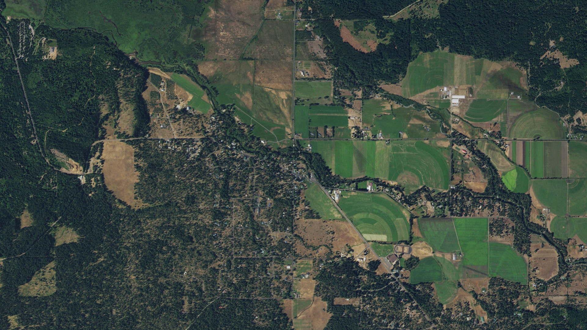 Natural-color aerial photograph of land around Trout Lake, Washington