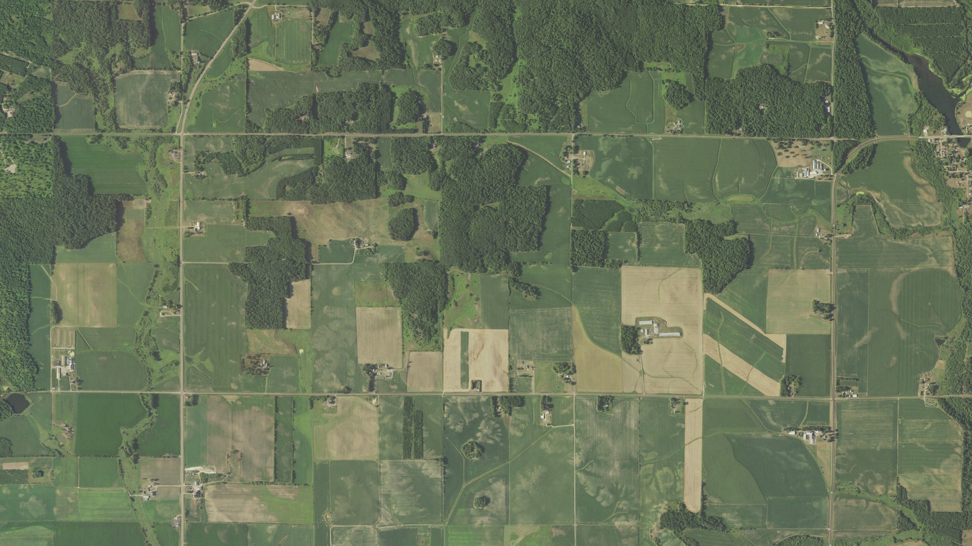 Natural-color aerial photograph of land around Dallas, Wisconsin