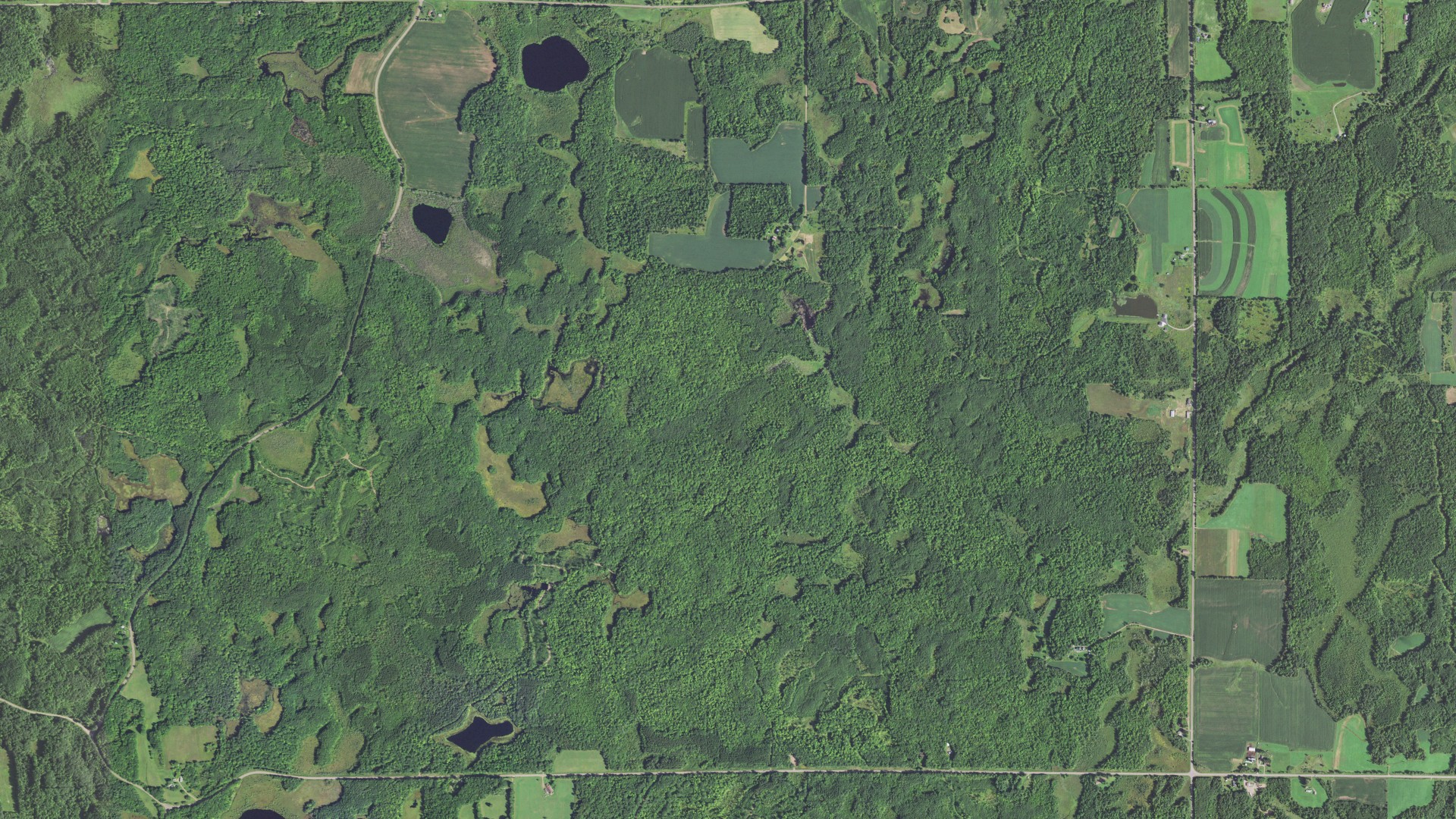 Aerial view of land around Birch Creek, Wisconsin