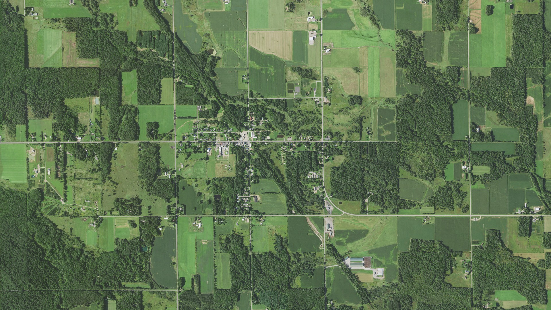 Natural-color aerial photograph of land around Arpin, Wisconsin
