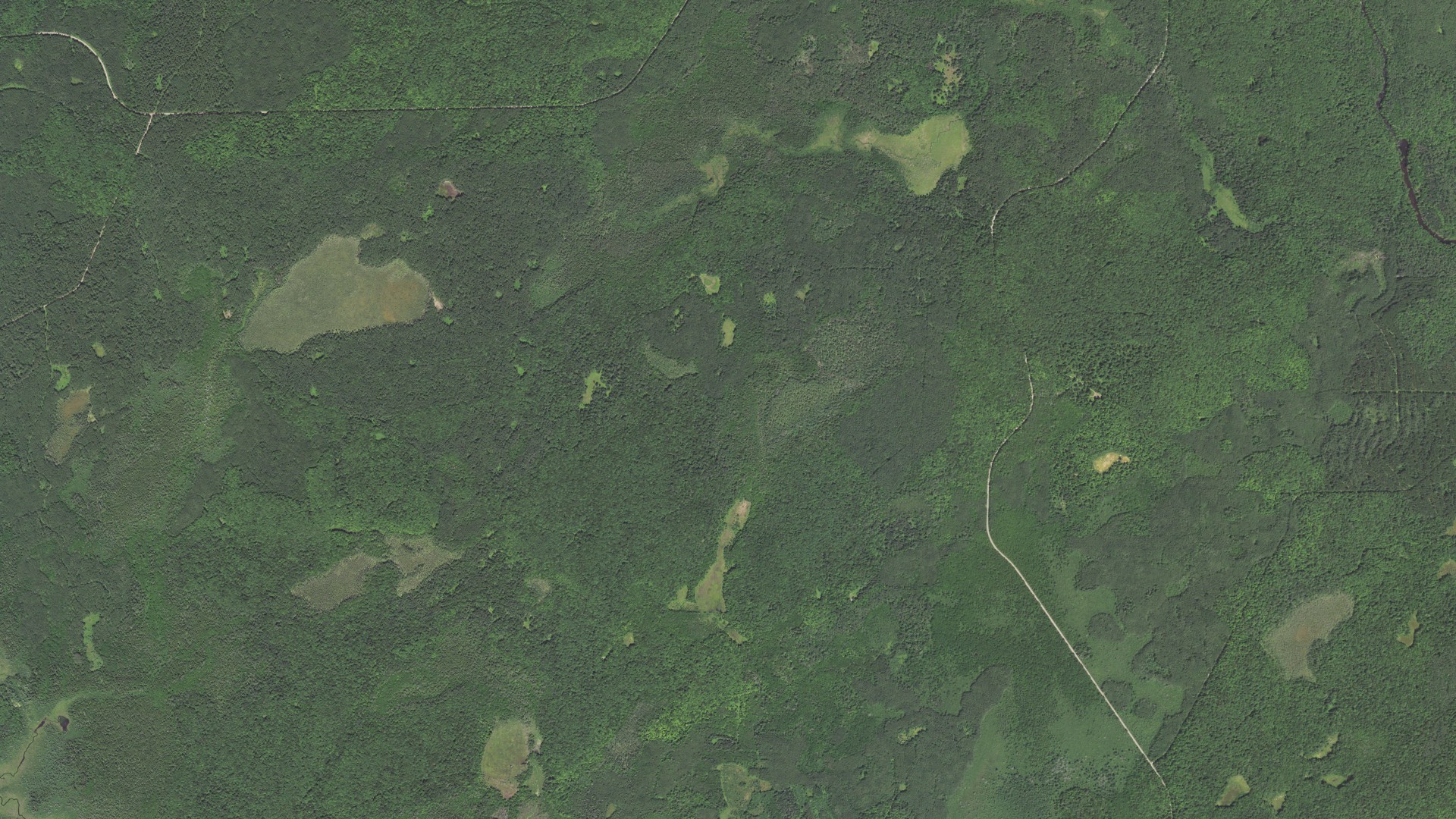 Natural-color aerial photograph of land around Blackwell, Wisconsin