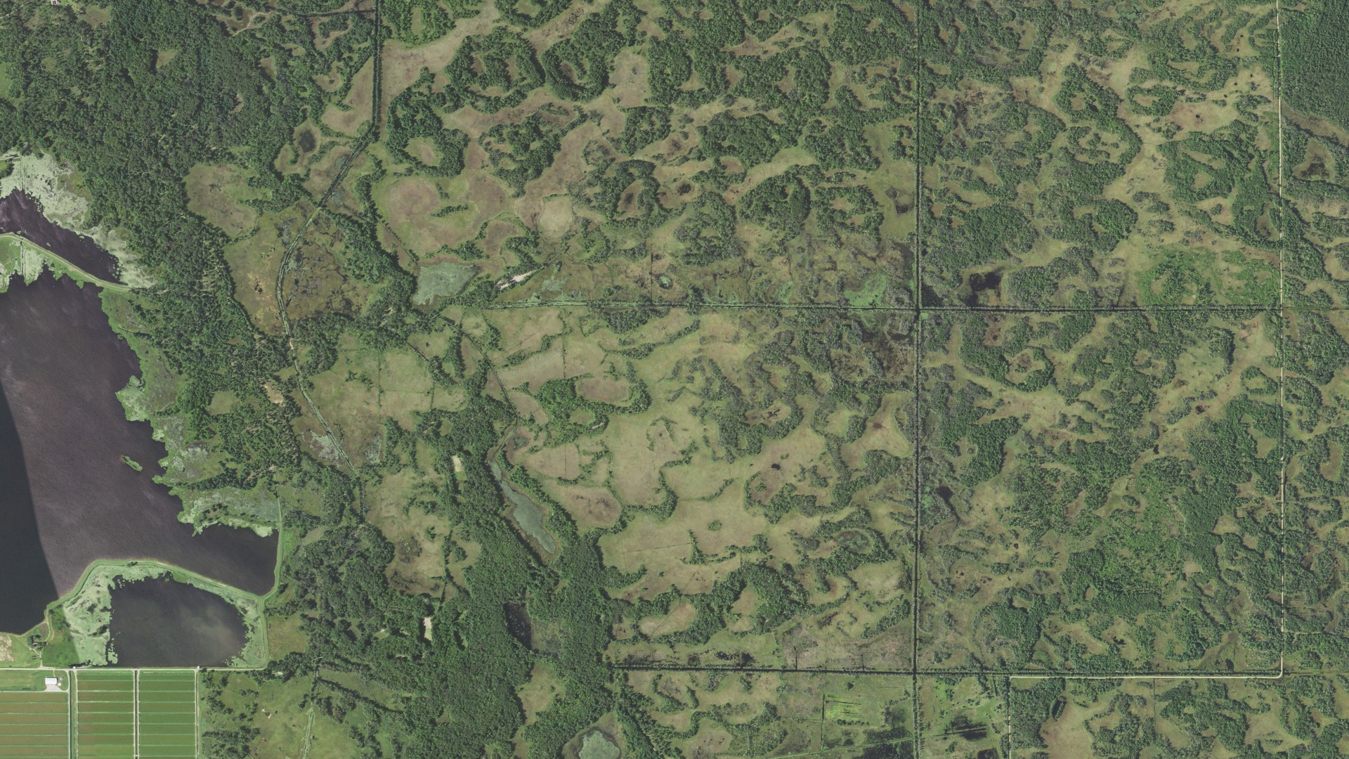 Natural-color aerial photograph of land around Cutler, Wisconsin