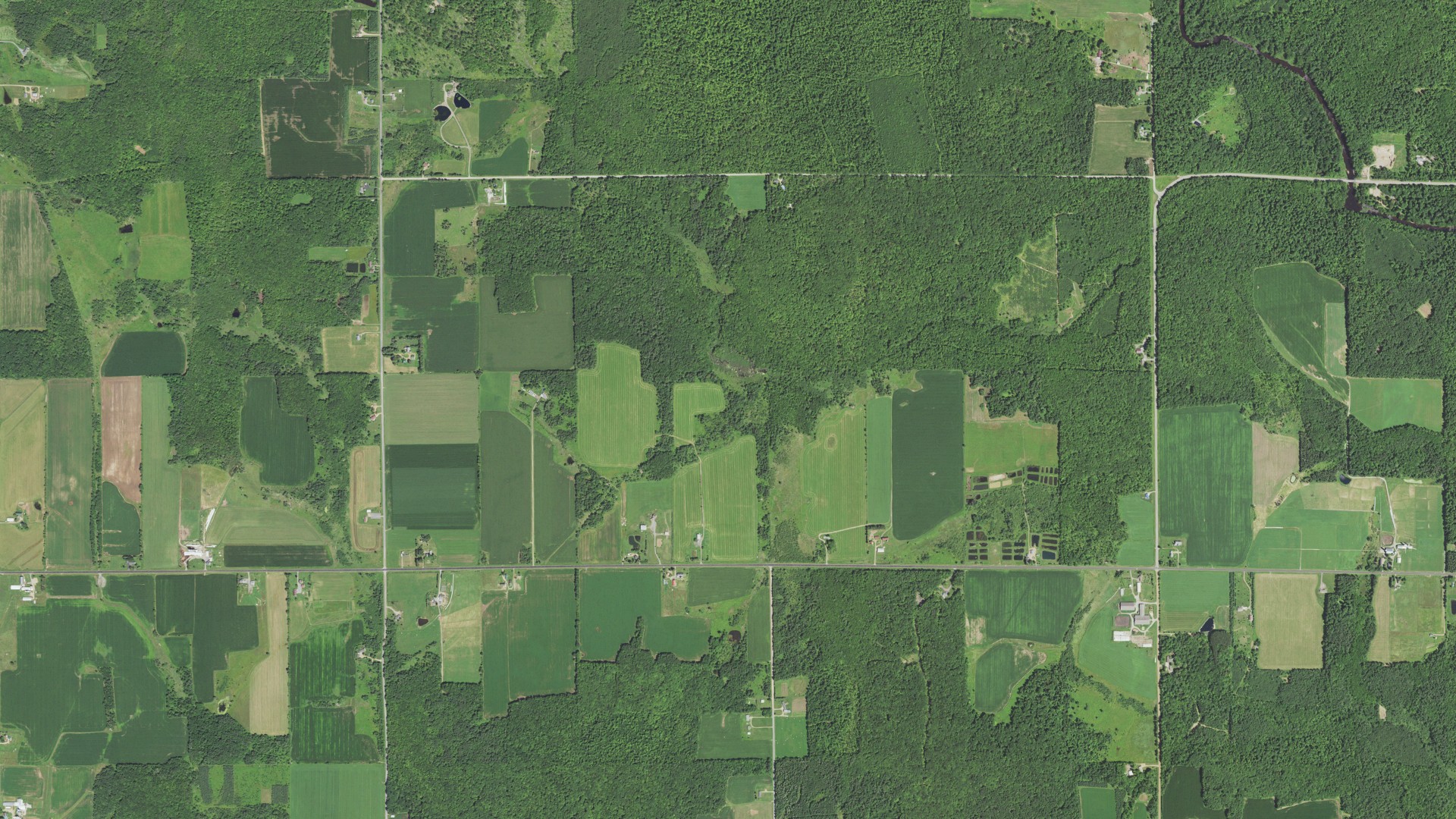 Aerial view of land around Halsey, Wisconsin