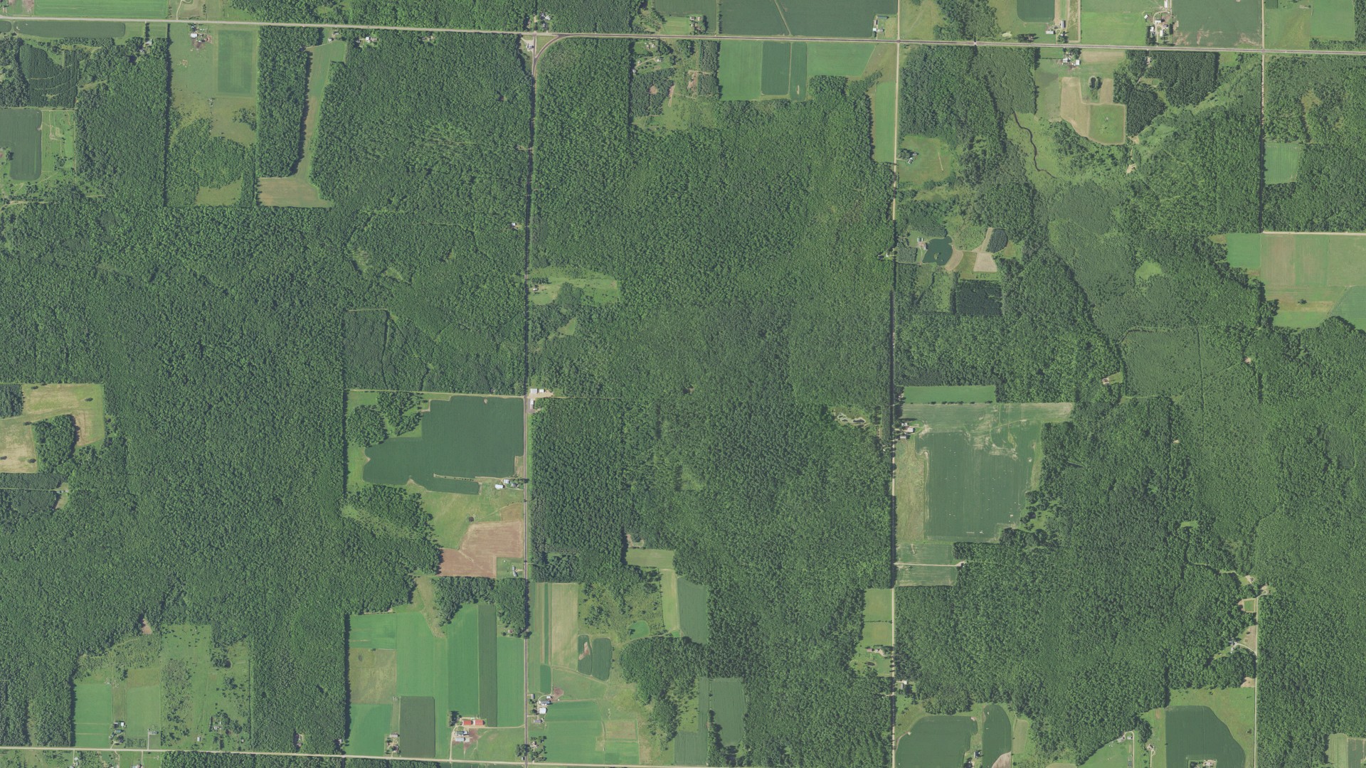 Aerial view of land around Hewitt, Wisconsin