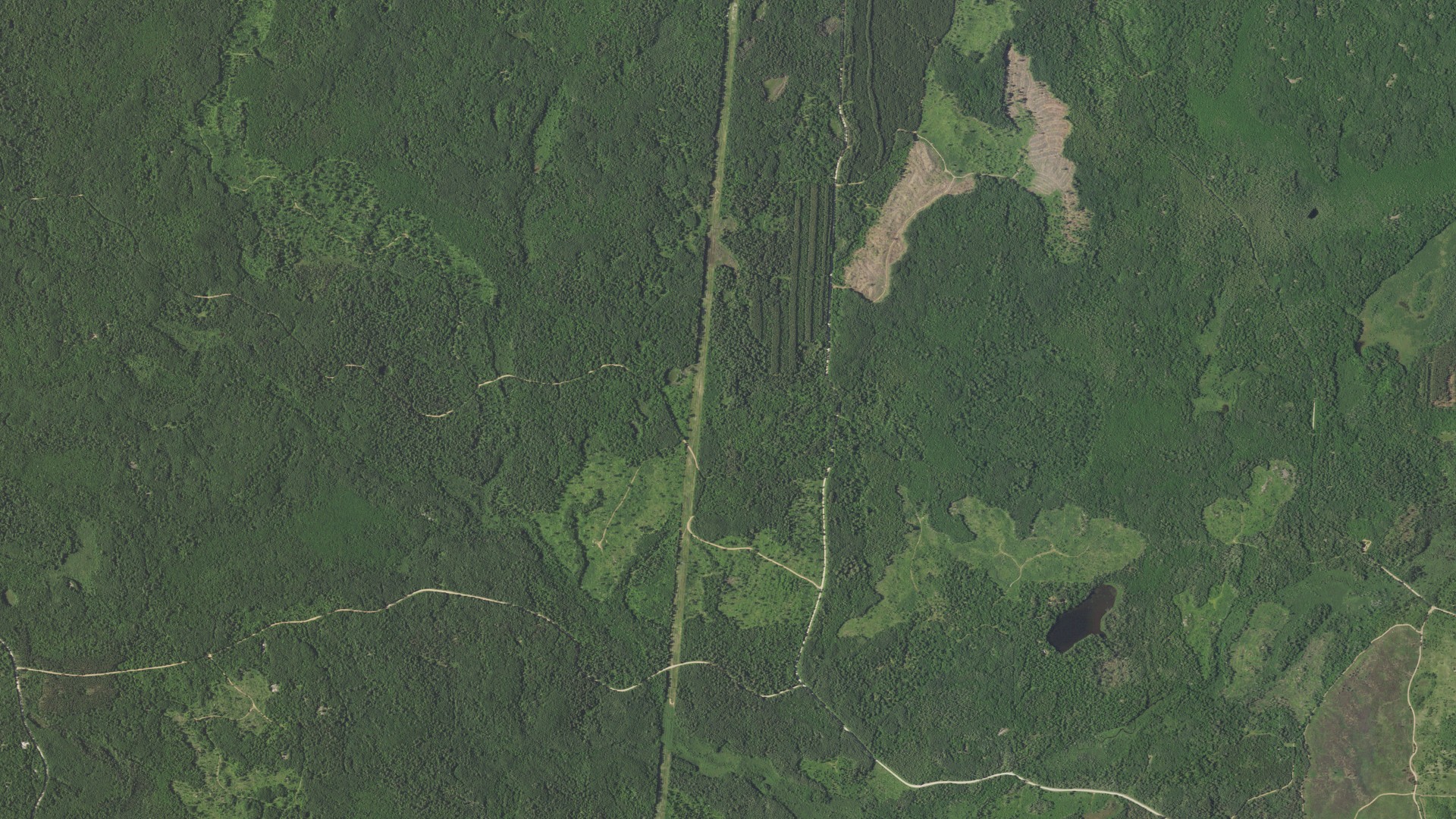 Aerial view of land around Athelstane, Wisconsin