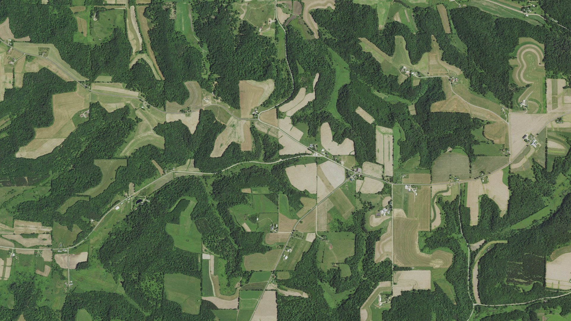 Natural-color aerial photograph of land around Wellington, Wisconsin