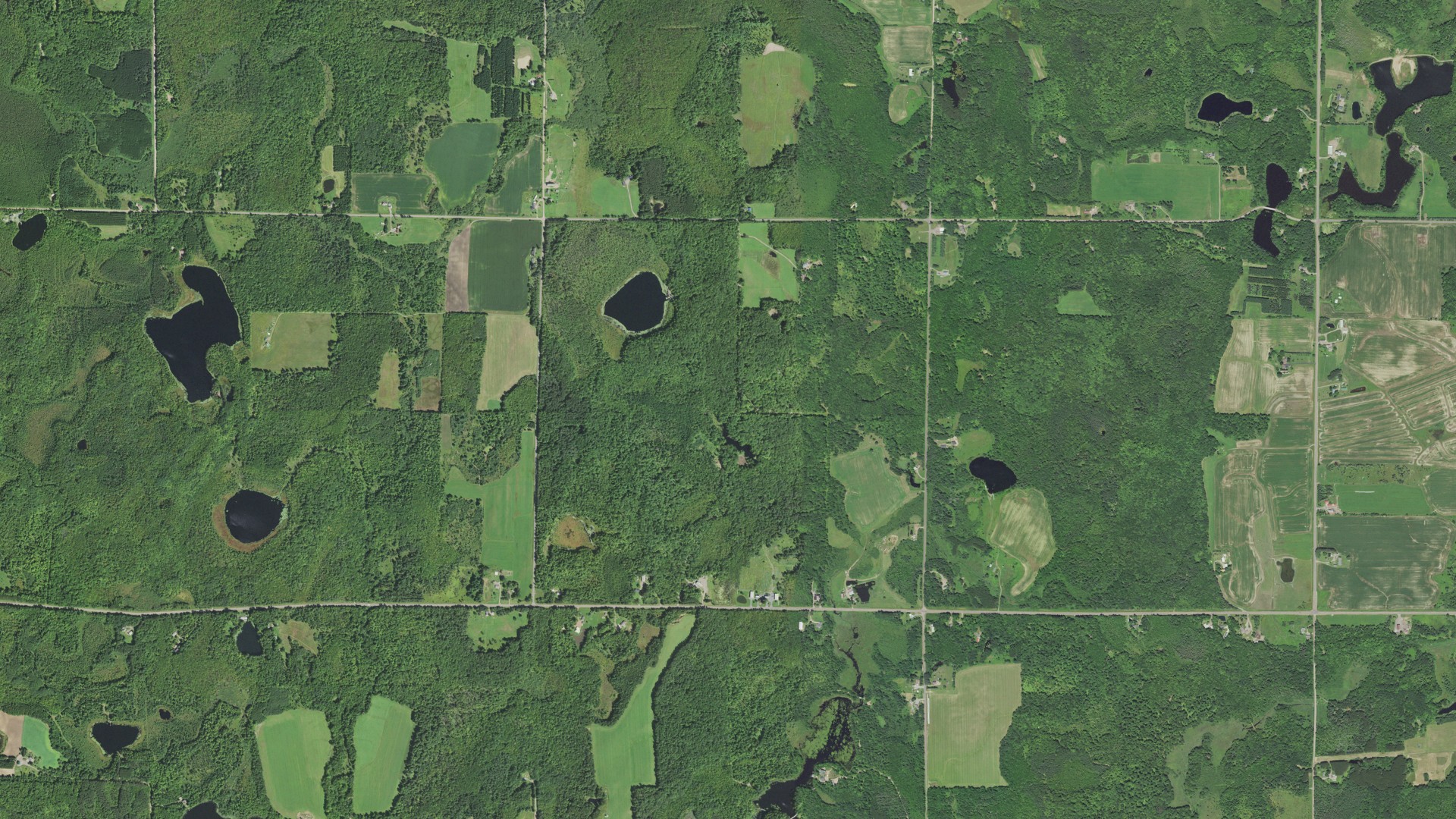 Natural-color aerial photograph of land around Taylor County, Wisconsin