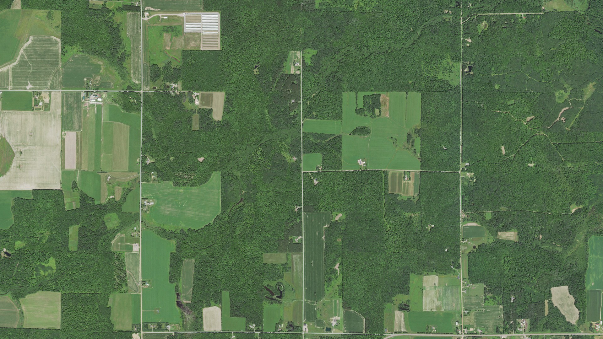 Natural-color aerial photograph of land around Goodrich, Wisconsin