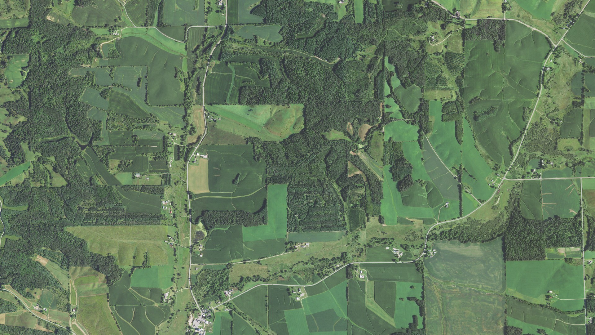 Aerial view of land around Hale, Wisconsin