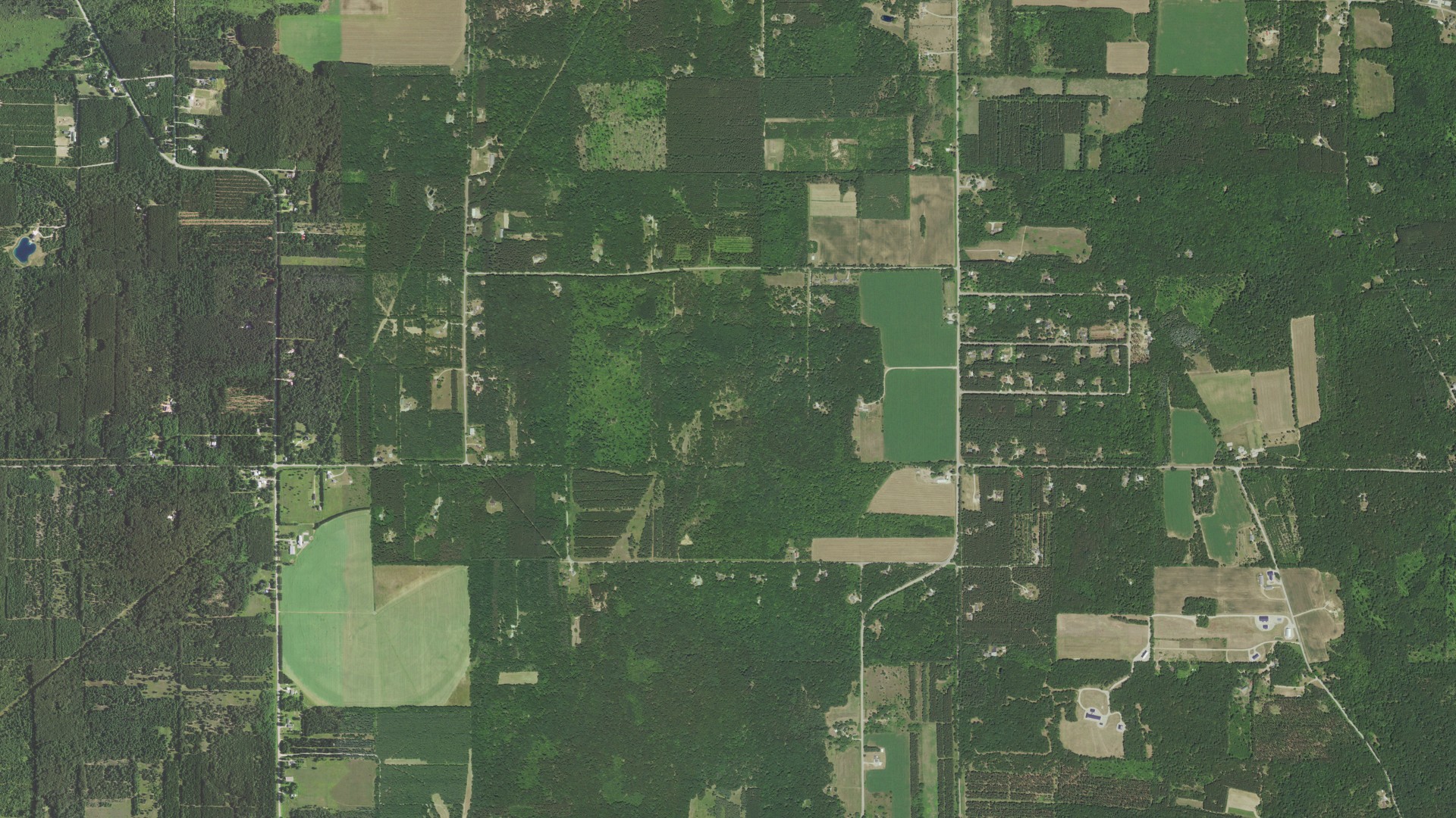 Aerial view of land around Leon, Wisconsin
