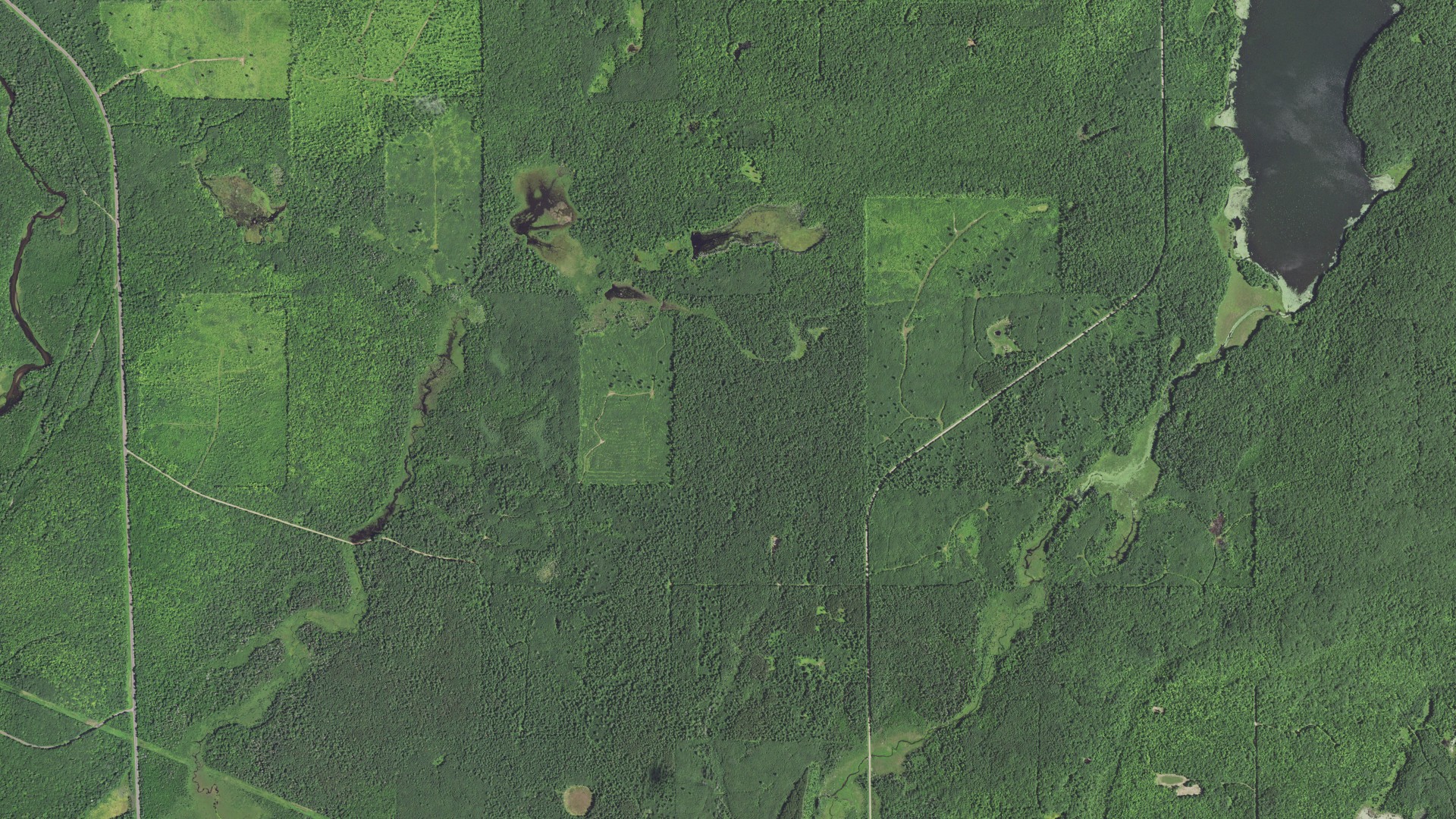 Natural-color aerial photograph of land around Reserve, Wisconsin