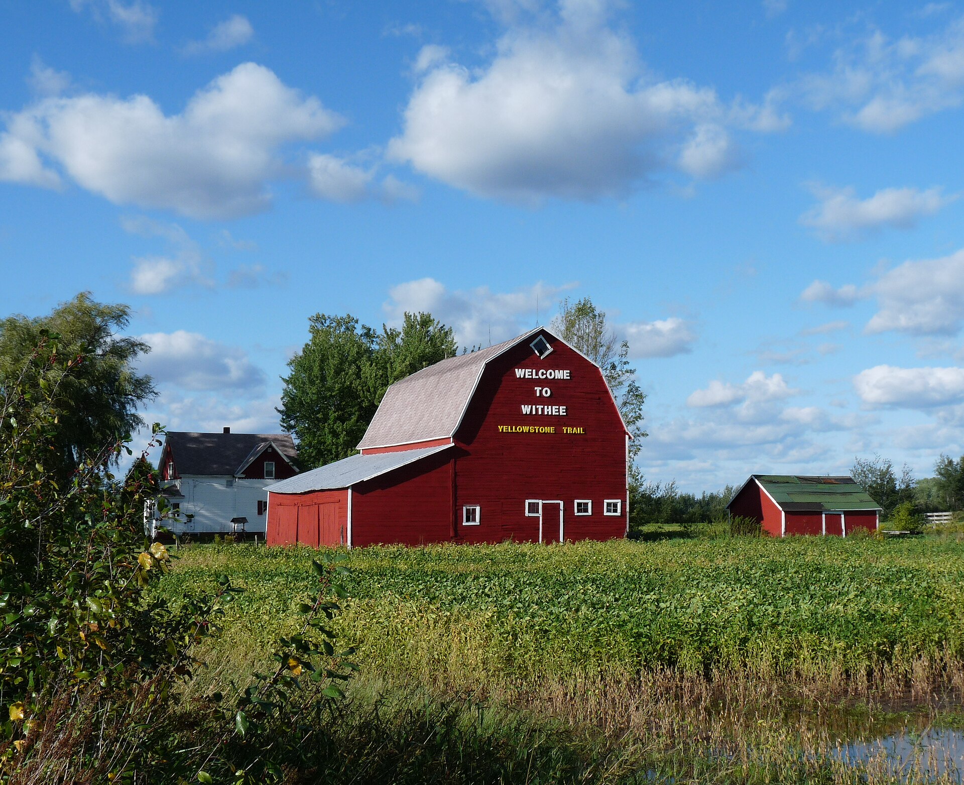 Farm on the south side of Withee, Wisconsin.