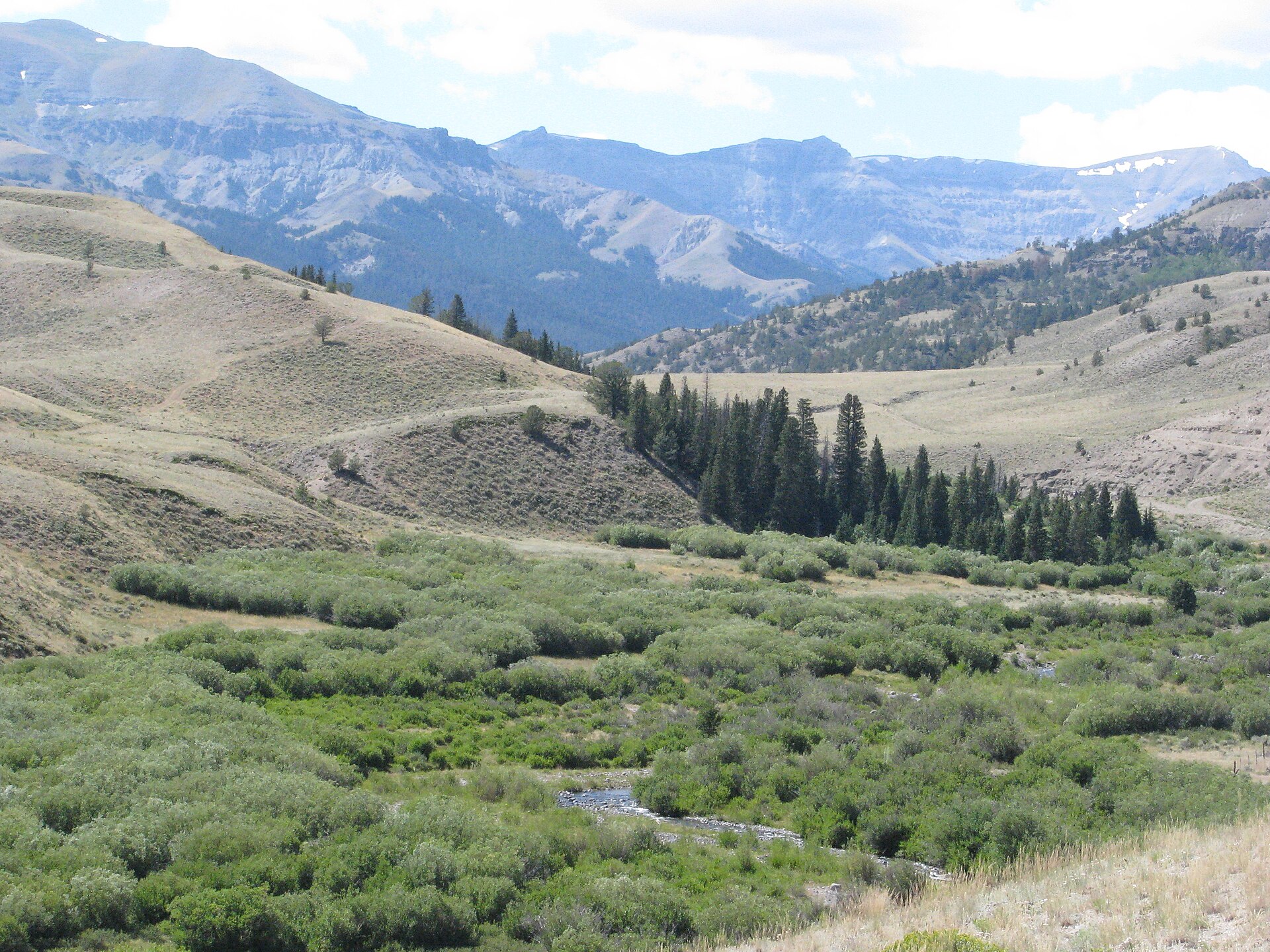A stream on the South Fork of the Owl Creek meanders down from the Owl Creek Mountains in Hot Springs County in Wyoming, USA.